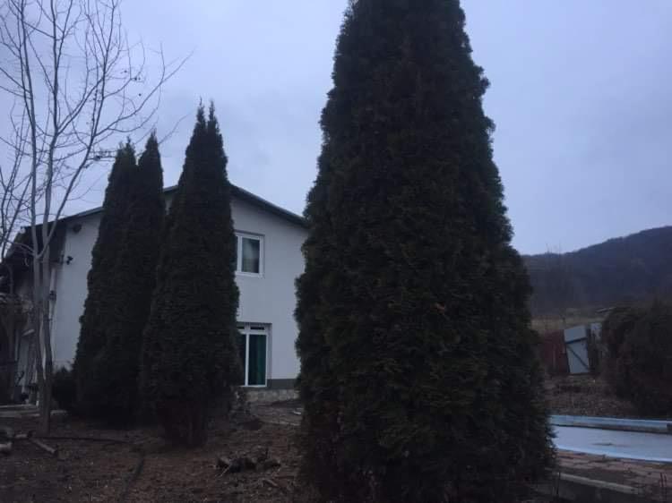 Casa Din Deal Podis Exterior foto